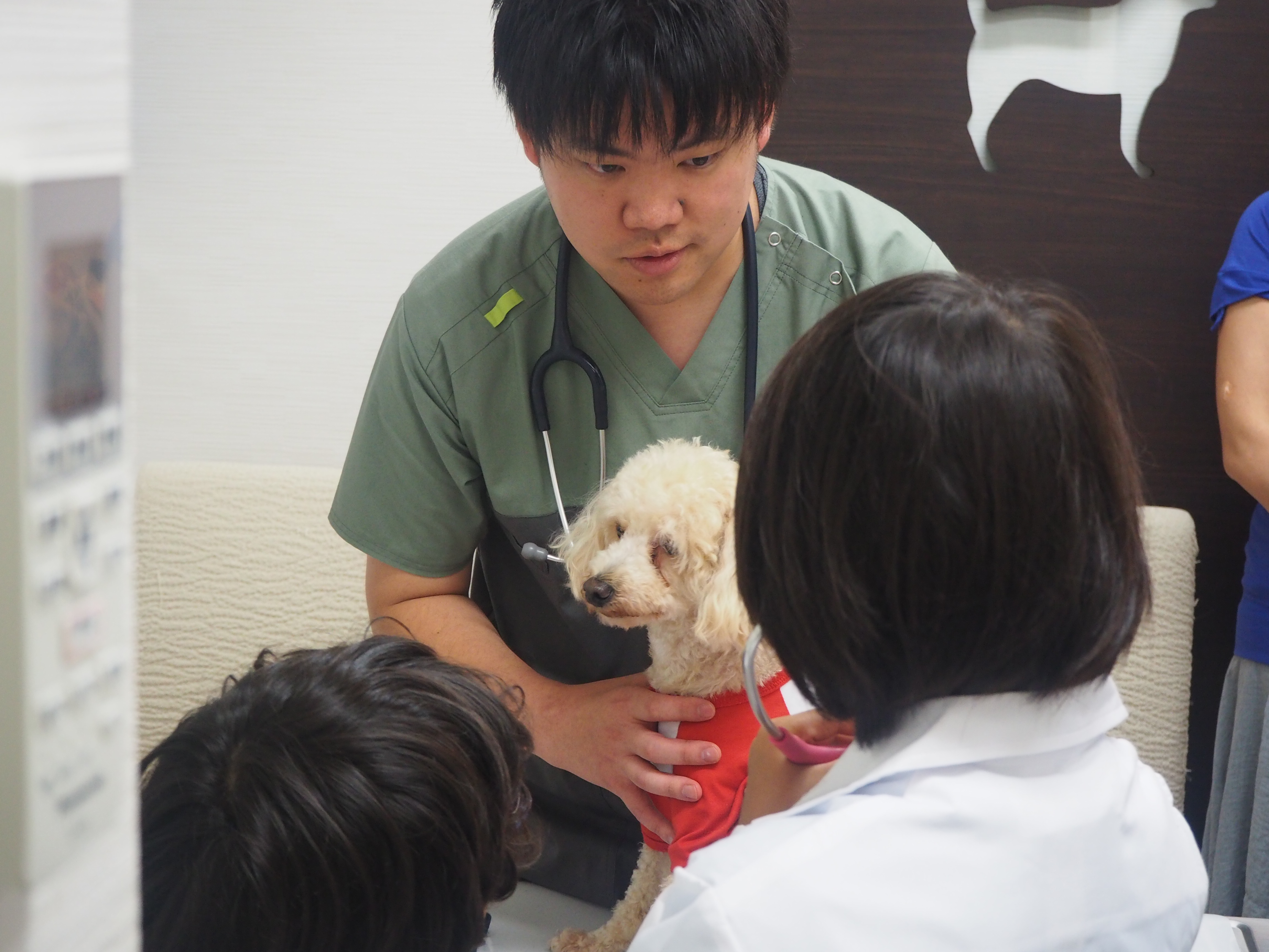 Gifte 八王子市 動物病院で診断 獣医さん体験