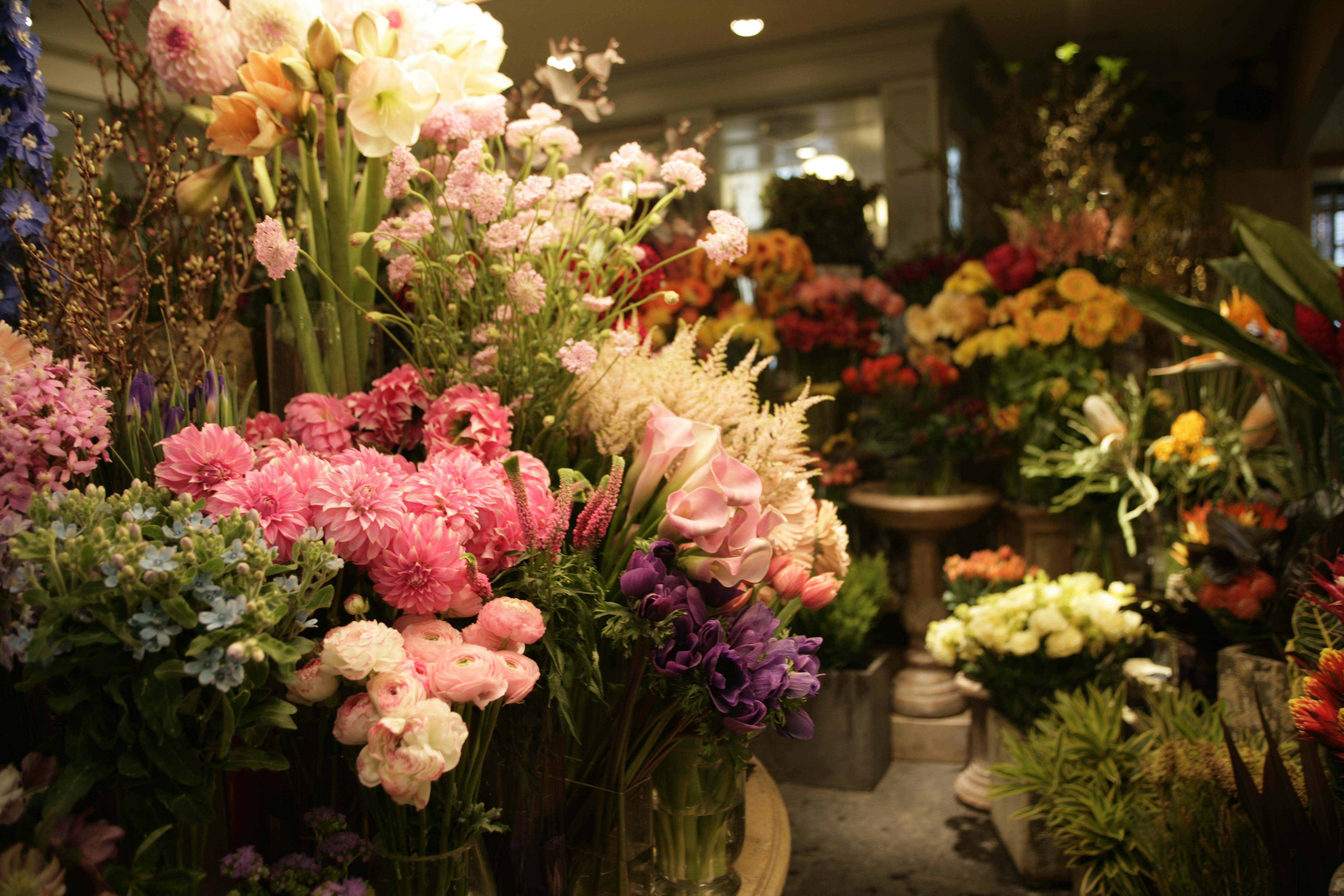 Gifte お花で感性を養う フローリスト体験